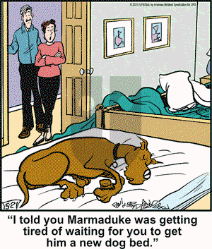 Marmaduke on Wednesday May 21, 2025 Comic Strip