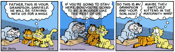 Garfield on Friday December 14, 1984 Comic Strip