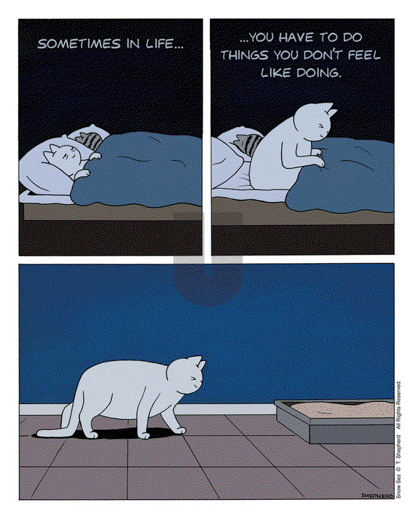 Snow Sez on Monday May 19, 2025 Comic Strip