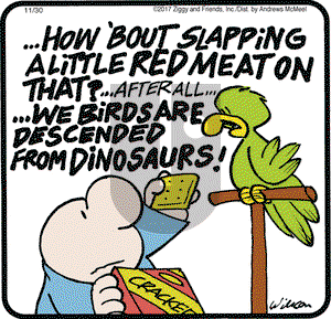 Ziggy on Thursday November 30, 2017 Comic Strip