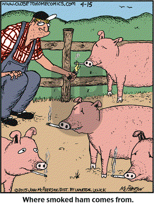 Close to Home on Wednesday April 15, 2015 Comic Strip