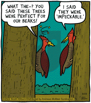 The Argyle Sweater - Wednesday June 29, 2022 Comic Strip