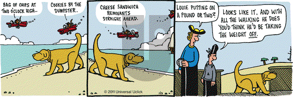 Overboard on Monday January 3, 2011 Comic Strip