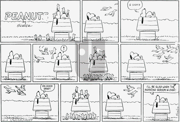 Peanuts - Sunday October 7, 1962 Comic Strip