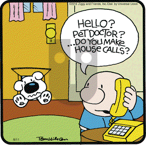 Ziggy on Thursday August 11, 2016 Comic Strip
