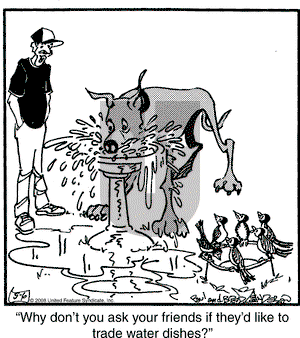 Marmaduke on Tuesday May 6, 2008 Comic Strip