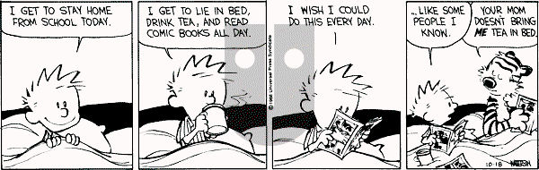 Calvin and Hobbes - Tuesday October 18, 1988 Comic Strip
