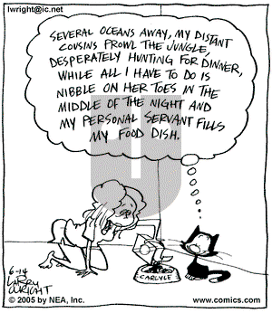 Kit 'N' Carlyle on Tuesday June 14, 2005 Comic Strip