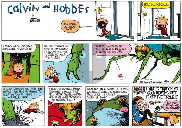 Calvin and Hobbes on Sunday June 14, 1987 Comic Strip