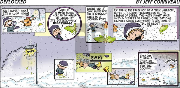 DeFlocked on Sunday December 16, 2012 Comic Strip