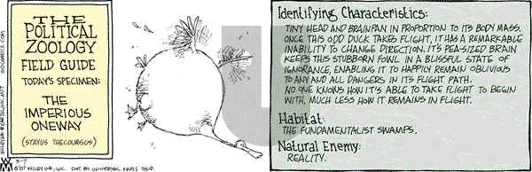 Non Sequitur on Wednesday March 7, 2007 Comic Strip