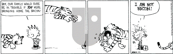 Calvin and Hobbes - Monday June 5, 1995 Comic Strip