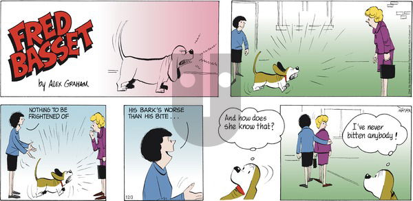Fred Basset - Sunday December 3, 2023 Comic Strip