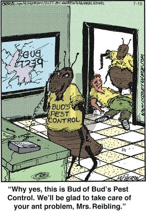 Close to Home on Saturday July 15, 2017 Comic Strip