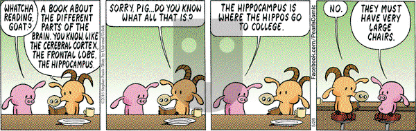 Pearls Before Swine on Thursday May 26, 2016 Comic Strip