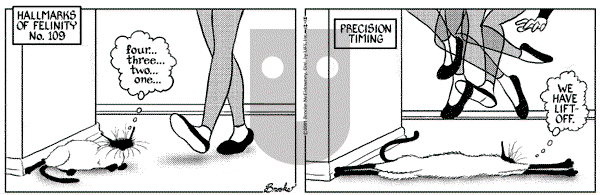 9 Chickweed Lane - Wednesday December 12, 2001 Comic Strip