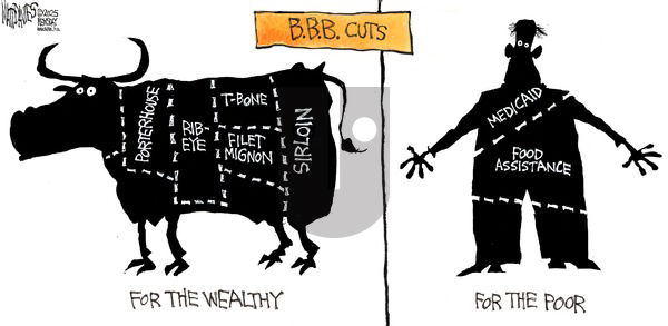 Matt Davies on Sunday May 25, 2025 Comic Strip