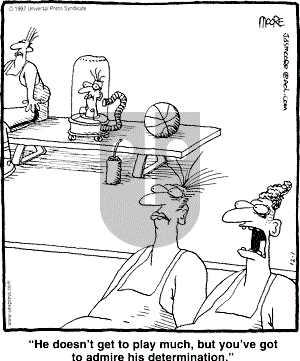 In the Bleachers - Monday December 1, 1997 Comic Strip