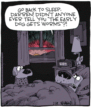 Reality Check on Thursday February 28, 2013 Comic Strip