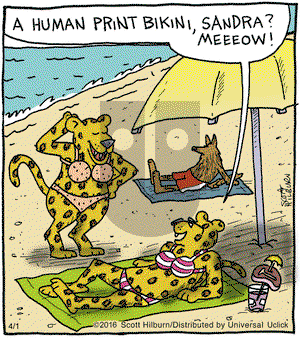 The Argyle Sweater on Friday April 1, 2016 Comic Strip