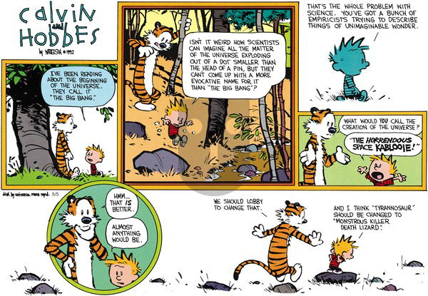 Calvin and Hobbes - Sunday June 21, 1992 Comic Strip