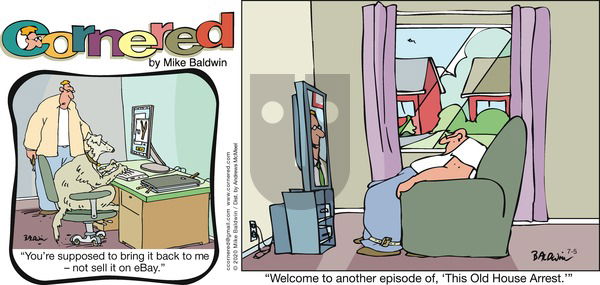 Cornered on Sunday July 5, 2020 Comic Strip