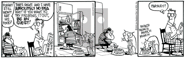 Monty on Saturday July 13, 2002 Comic Strip