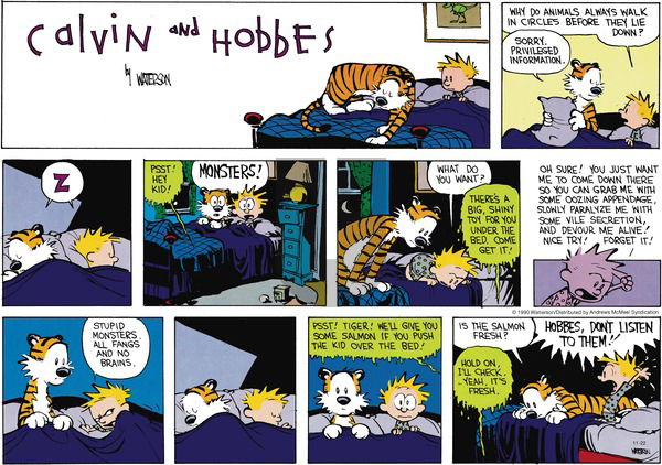 Calvin and Hobbes - Sunday November 22, 2020 Comic Strip