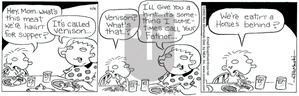 Soup to Nutz - Old on Monday June 10, 2002 Comic Strip