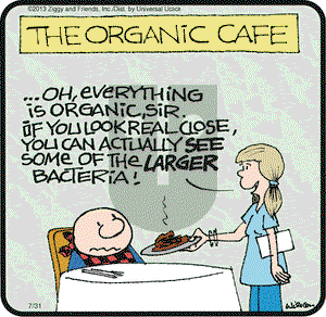 Ziggy on Wednesday July 31, 2013 Comic Strip