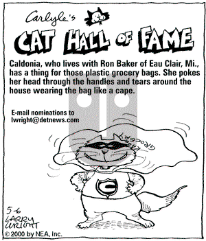 Kit 'N' Carlyle on Saturday May 6, 2000 Comic Strip