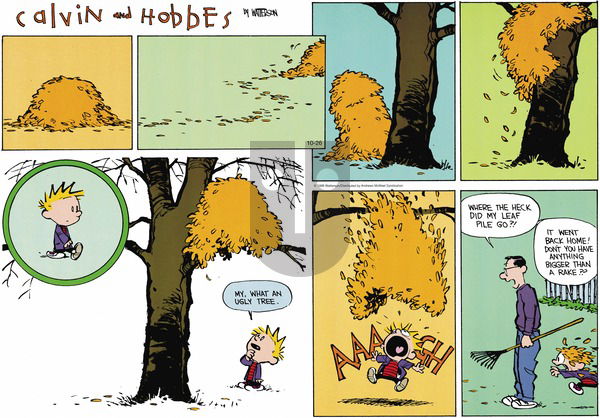 Calvin and Hobbes on Sunday October 26, 2025 Comic Strip