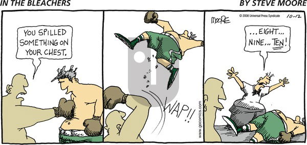 In the Bleachers on Sunday October 12, 2008 Comic Strip