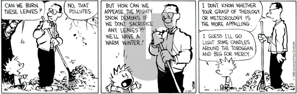 Calvin and Hobbes on Friday November 23, 1990 Comic Strip