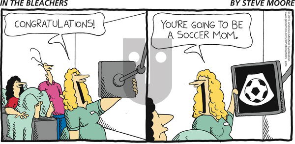 In the Bleachers on Sunday February 24, 2019 Comic Strip