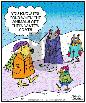 Half Full on Tuesday December 9, 2014 Comic Strip