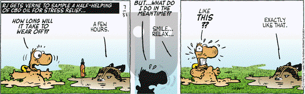 Over the Hedge on Wednesday July 31, 2019 Comic Strip