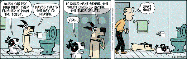 Pooch Cafe on Wednesday August 21, 2019 Comic Strip