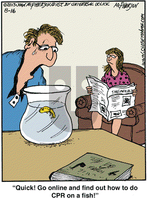Close to Home on Friday August 16, 2013 Comic Strip