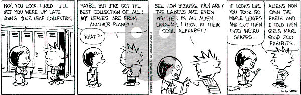 Calvin and Hobbes - Friday October 20, 1995 Comic Strip