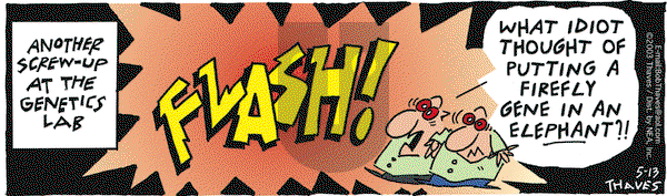 Frank and Ernest on Tuesday May 13, 2003 Comic Strip