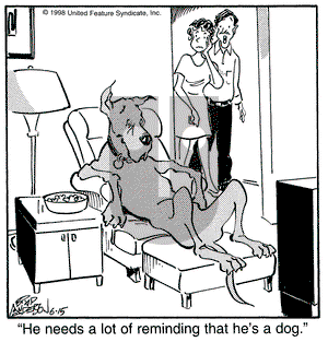 Marmaduke on Monday June 15, 1998 Comic Strip