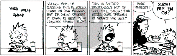 Calvin and Hobbes on Wednesday December 23, 1992 Comic Strip