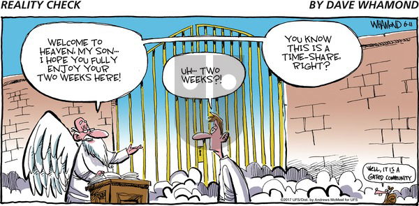 Reality Check on Sunday June 11, 2017 Comic Strip