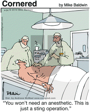 Cornered on Wednesday April 24, 2019 Comic Strip
