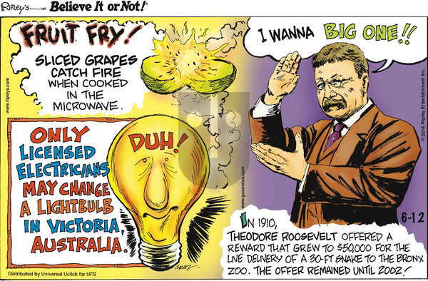Ripley's Believe It or Not on Sunday June 12, 2016 Comic Strip