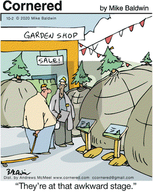 Cornered on Friday October 2, 2020 Comic Strip