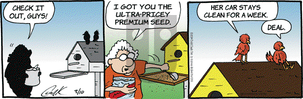 Lola - Saturday August 10, 2024 Comic Strip