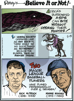 Ripley's Believe It or Not on Friday May 15, 2009 Comic Strip