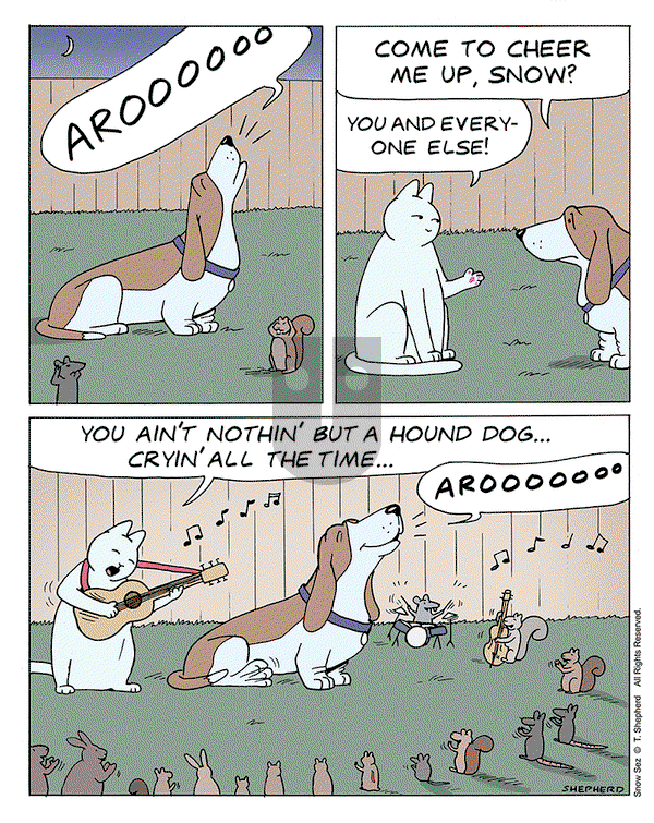 Snow Sez on Monday March 11, 2024 Comic Strip